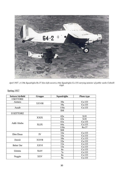 Mehtidis Alexis -Italienische Luftwaffe im italienischen Ostafrika - 1919-1939 (ebook)