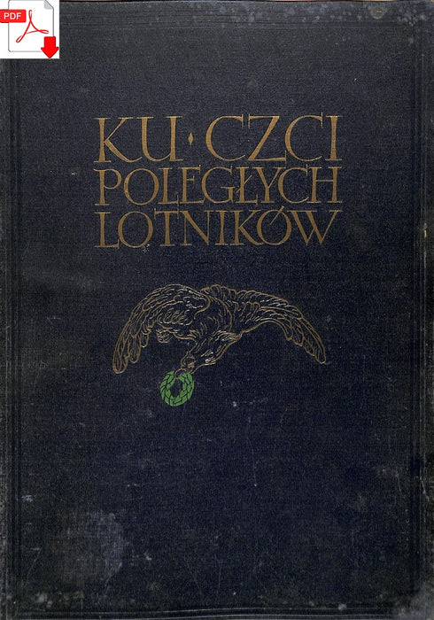 Historia polskiego lotnictwa 1909-1933 История польской авиации